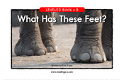 What Has These Feet?