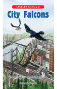 City Falcons