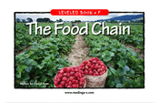 The Food Chain