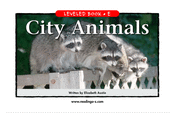 City Animals