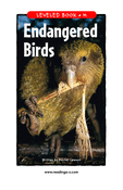 Endangered Birds
