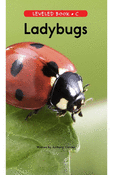 Ladybugs