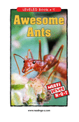 Awesome Ants