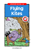 Flying Kites