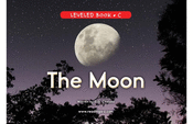 The Moon