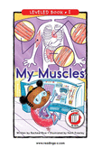 My Muscles
