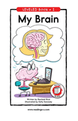 My Brain