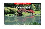 Pond Life