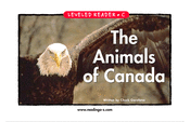 The Animals of Canada