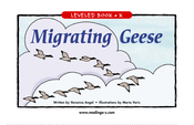 Migrating Geese