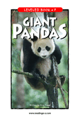 Giant Pandas