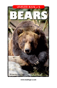 Bears