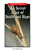 The Secret Lives of Snails and Slugs