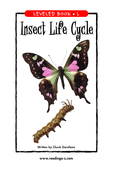Insect Life Cycle