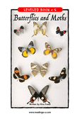 Butterflies and Moths