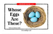 Whose Eggs Are These?