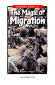 The Magic of Migration