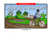 What Is in the Box?