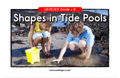 Shapes in Tide Pools