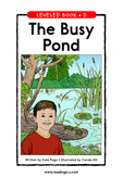 The Busy Pond