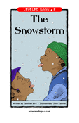 The Snowstorm